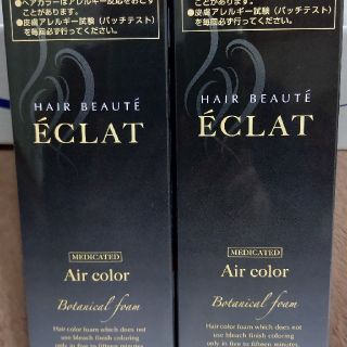 ボタニカルエアカラーフォーム 80g NB ナチュラルブラック 2本セット(白髪染め)