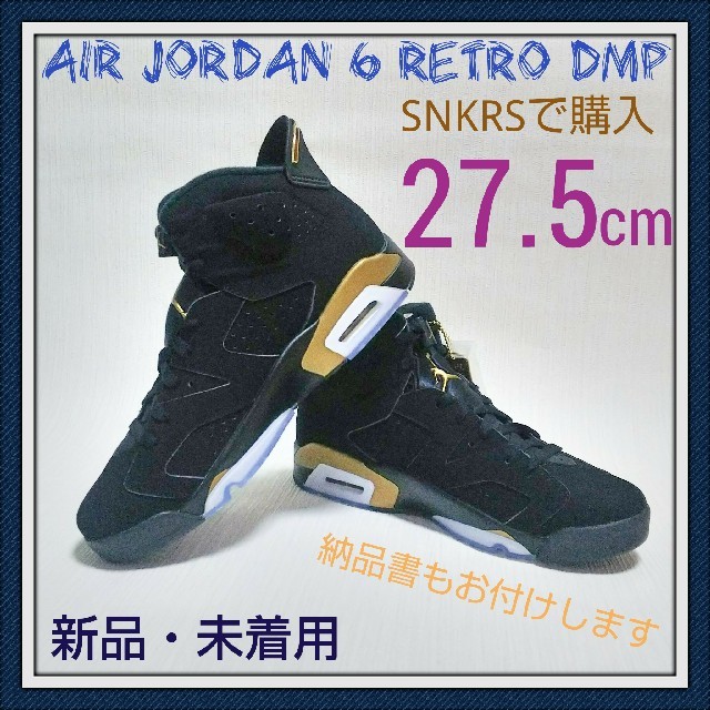 NIKE AIR JORDAN RETRO DMP ジョーダン6