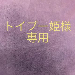 トイプー姫様　専用(文学/小説)