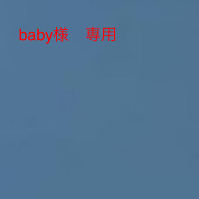 baby様 専用 人気急上昇のタイムセール 6370円引き noxcapital.de