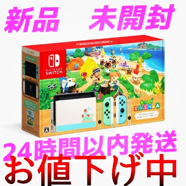 Nintendo Switch あつまれ どうぶつの森セット