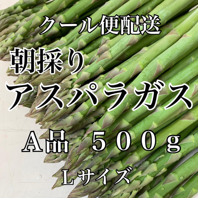 栃木県産アスパラガス500g 食品/飲料/酒の食品(野菜)の商品写真