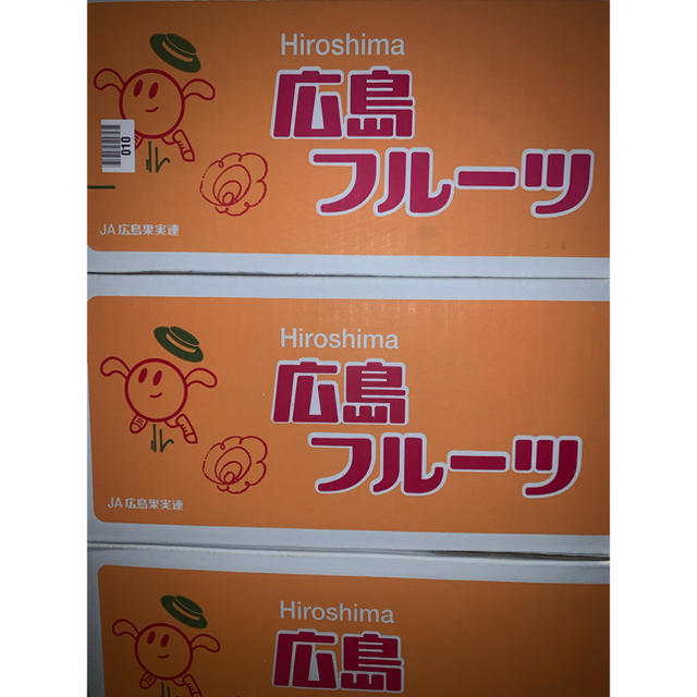 広島産訳あり傷あり幻の春みかん 南津海(なつみ)約5kg 食品/飲料/酒の食品(フルーツ)の商品写真