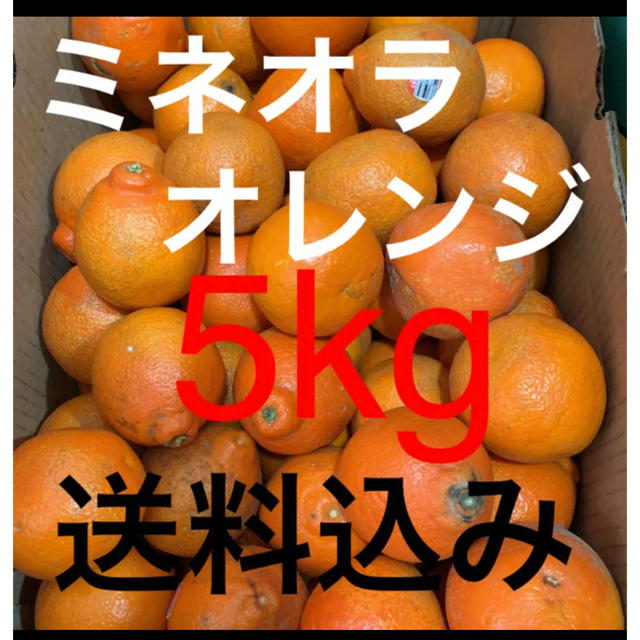 アメリカ産 訳あり傷ありミネオラ　オレンジ約5kg 食品/飲料/酒の食品(フルーツ)の商品写真