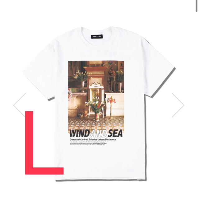 WDS SANTA CRUZ TEE﻿ / WHITE (20S-CS-05)