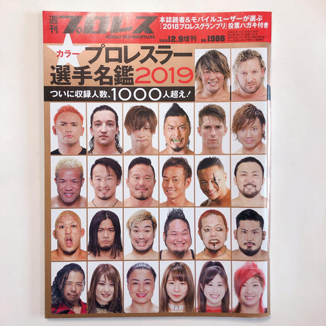 週刊プロレス増刊 2019 プロレスラー写真名鑑号 2018年 12/9号 スポーツ/アウトドアのスポーツ/アウトドア その他(格闘技/プロレス)の商品写真