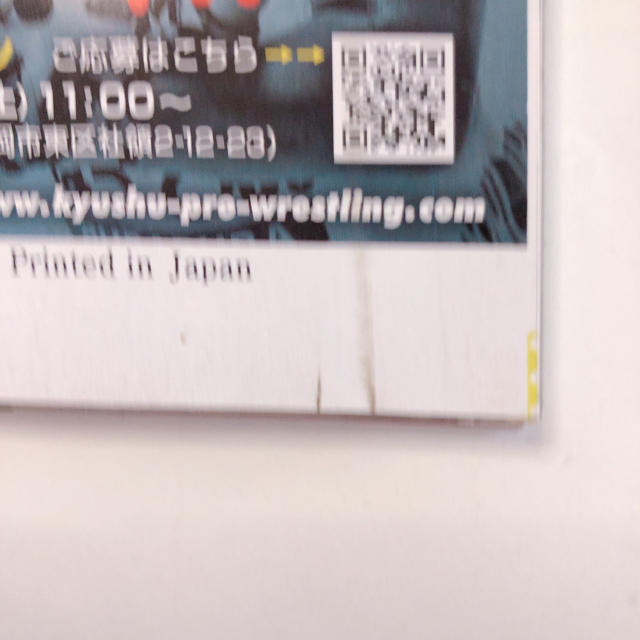 週刊プロレス増刊 2019 プロレスラー写真名鑑号 2018年 12/9号 スポーツ/アウトドアのスポーツ/アウトドア その他(格闘技/プロレス)の商品写真