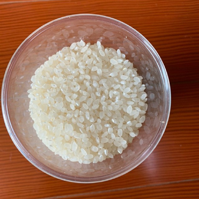 キヌヒカリ 20kg 白米 玄米 米 ご飯 飯 御飯 送料込 - 米/穀物