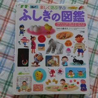 ショウガクカン(小学館)のふしぎの図鑑 楽しく遊ぶ学ぶ(絵本/児童書)