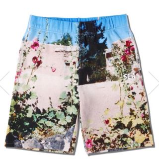 シュプリーム(Supreme)のwind and sea photo pants size 夏 ショートパンツ(ショートパンツ)