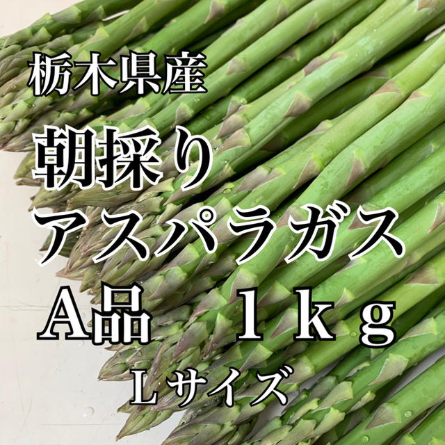 栃木県産アスパラガス１ｋｇ 食品/飲料/酒の食品(野菜)の商品写真