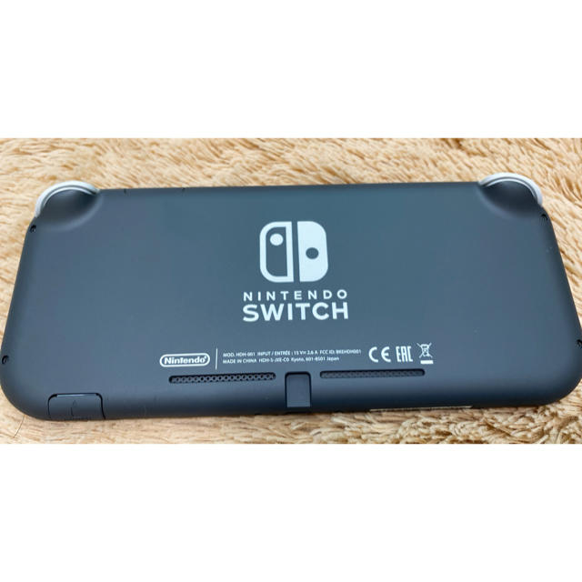 Switch+どうぶつの森+α 1