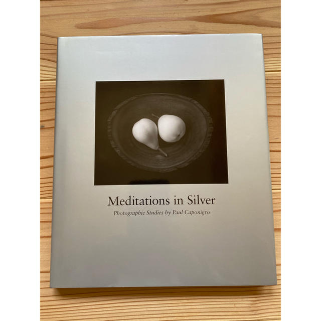 Meditations In Silver  ポール・カポニグロ写真集