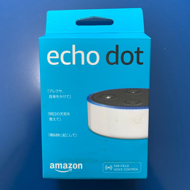 echo dot 未使用