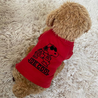 スヌーピー(SNOOPY)の犬服　スヌーピーTシャツ(犬)