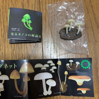 光るキノコのマグネット　コンルリキュウバンタケ(その他)