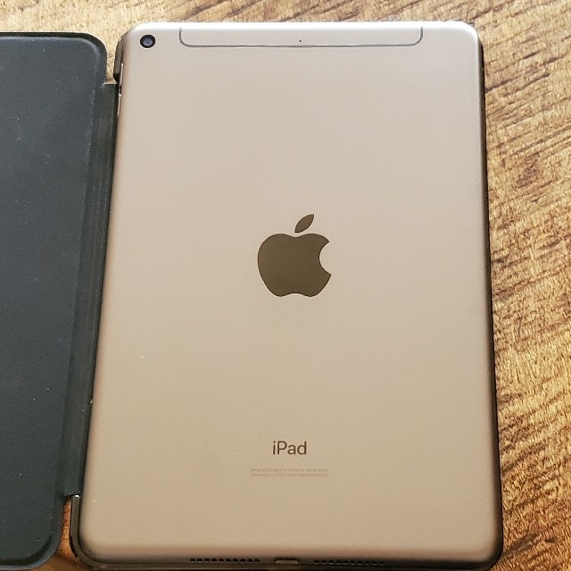 iPad mini 5 cellular 256GB スペースグレイ