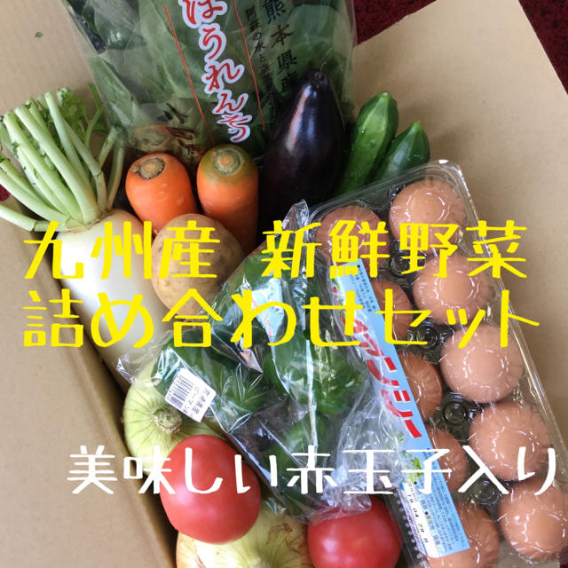 九州産　新鮮野菜　詰め合わせセット　赤玉子入り 食品/飲料/酒の食品(野菜)の商品写真