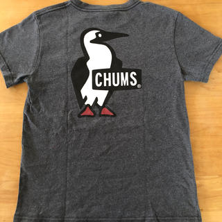 チャムス(CHUMS)のチャムス　woman Mサイズ　グレー(Tシャツ(半袖/袖なし))