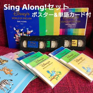 DWE Sing Along!(知育玩具)