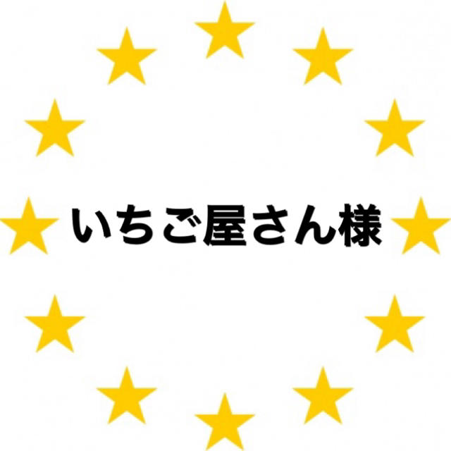 Kawada(カワダ)のいちご屋さん様　専用　アイロンビーズ  ハンドメイドの素材/材料(各種パーツ)の商品写真