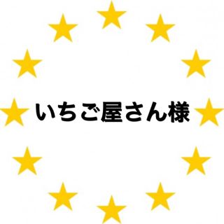 カワダ(Kawada)のいちご屋さん様　専用　アイロンビーズ (各種パーツ)