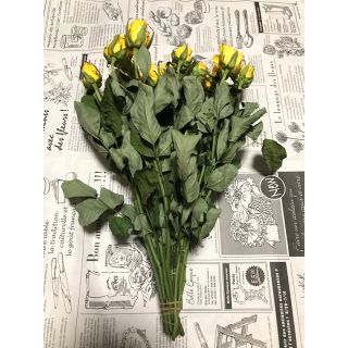 【ドライ】イエローバラ 薔薇 ばら 黄色 15本 30cm(ドライフラワー)