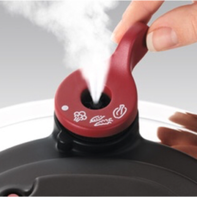 T-fal 圧力鍋 4L クリプソ アーチ T-fal 圧力鍋 4L クリプソ アーチ