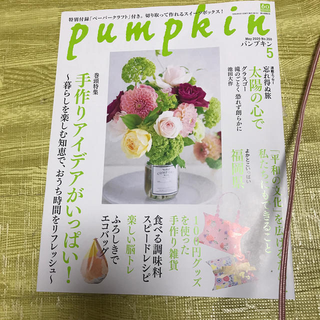 pumpkin (パンプキン) 2020年 05月号、４月号セット エンタメ/ホビーの雑誌(生活/健康)の商品写真