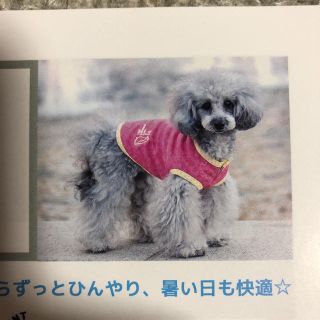 KIKO211様専用　犬 夏服 ひんやり素材(犬)