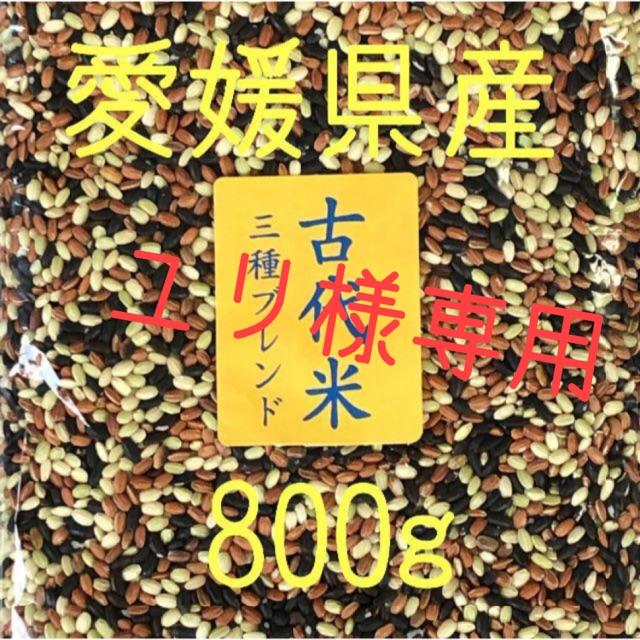 ユリ様専用　古代米3種ブレンド　愛媛県産　800ｇ 食品/飲料/酒の食品(米/穀物)の商品写真