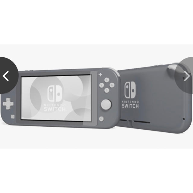 Nintendo Switch Lite グレー