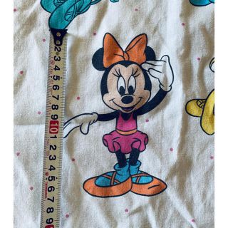 ディズニー(Disney)のfrl様専用　（お取り置き）(生地/糸)