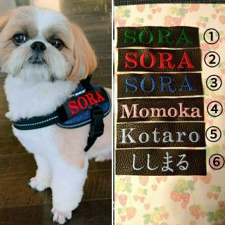 ユリウスk9 julius k9 ハーネス ネームラベル 名前 Sサイズ２枚(犬)