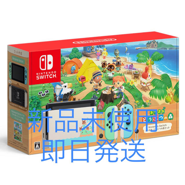 Nintendo Switch - Nintendo Switch 本体　あつまれ どうぶつの森セット
