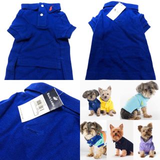 ポロラルフローレン(POLO RALPH LAUREN)のレア！ラルフローレン ドッグポロ！【新品/正規】(犬)