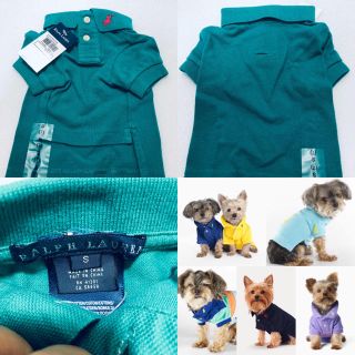 ポロラルフローレン(POLO RALPH LAUREN)のレア！ラルフローレン ドッグポロ！【新品/正規】(犬)