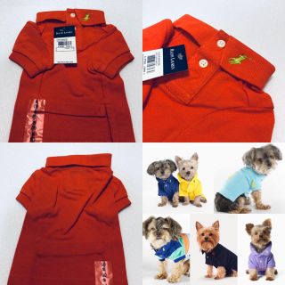 ポロラルフローレン(POLO RALPH LAUREN)のレア！ラルフローレン ドッグポロ！【新品/正規】(犬)