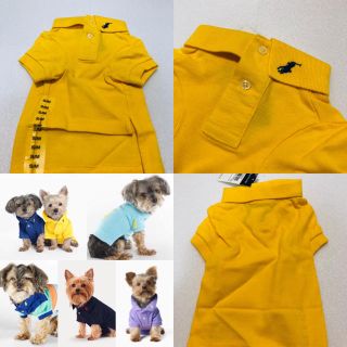 ポロラルフローレン(POLO RALPH LAUREN)のレア！ラルフローレン ドッグポロ！【新品/正規】(犬)