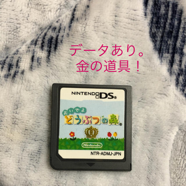 ニンテンドーDS(ニンテンドーDS)のおいでよどうぶつの森 エンタメ/ホビーのゲームソフト/ゲーム機本体(携帯用ゲームソフト)の商品写真