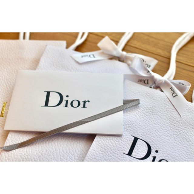 Christian Dior(クリスチャンディオール)のDior 美品✨　ショッパー　紙袋　カードホルダー・リボン付❣️ レディースのバッグ(ショップ袋)の商品写真