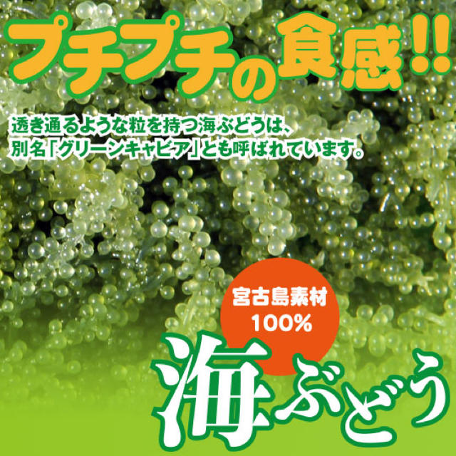 沖縄直送 海ぶどう 2キロ　茎無し　A良品　送料無料！