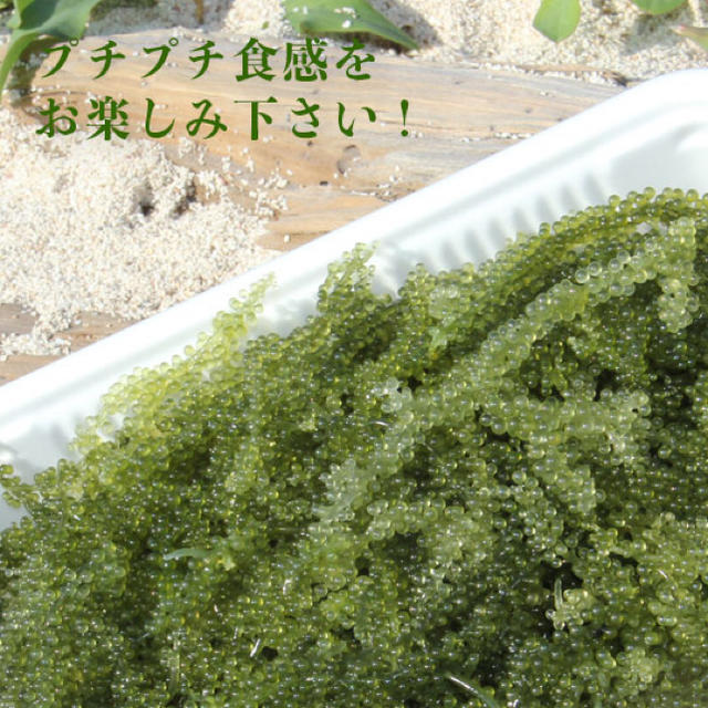 沖縄直送 海ぶどう 2キロ　茎無し　A良品　送料無料！