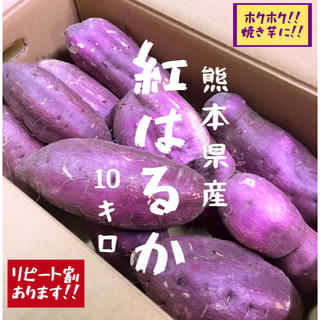 熊本県産 熟成サツマイモ 紅はるか 2L～4L 10kg(野菜)