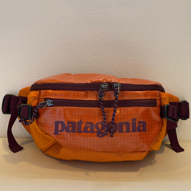 patagonia(パタゴニア)の☆ マスク様専用 ☆ パタゴニア ブラックホール・ウエストパック 2L 美品 レディースのバッグ(ボディバッグ/ウエストポーチ)の商品写真