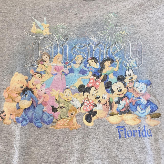 Disney(ディズニー)のDisney Florida used T-shirt 🐭 レディースのトップス(Tシャツ(半袖/袖なし))の商品写真