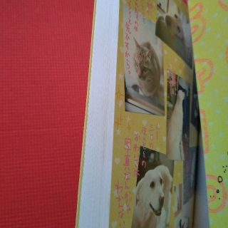 いくえみさんちの白い犬の通販 By かやごん S Shop ラクマ いくえみさんちの白い犬の通販 By かやごん S Shop ラクマ