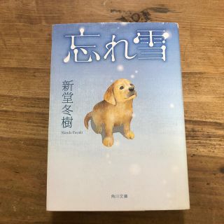 忘れ雪(文学/小説)