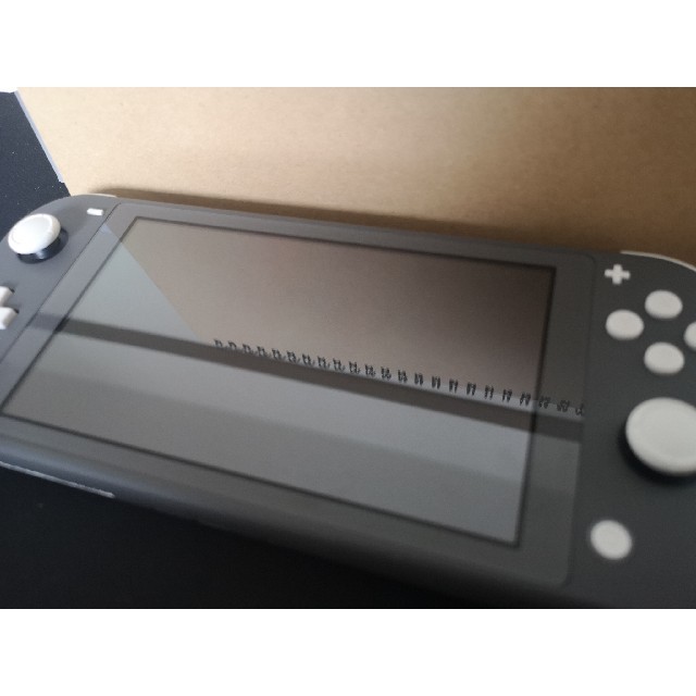 Nintendo Switch Lite グレー 1