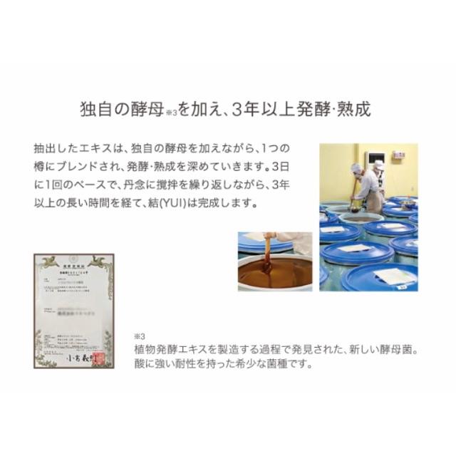 結 YUI 発酵ペースト&ドリンクセット